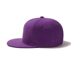 snapback-hat-1201-purple